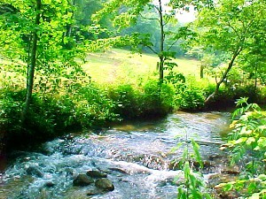 Creek Frontage